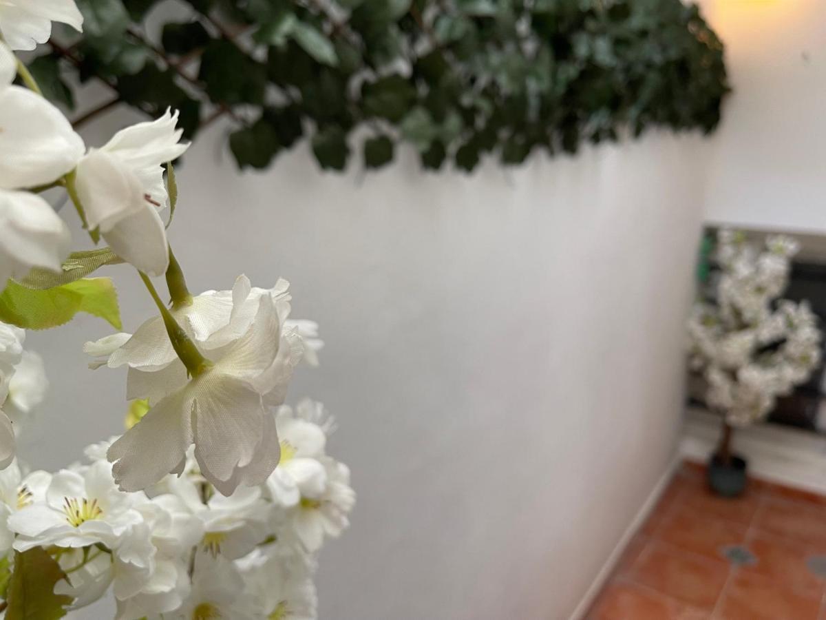 Dream Recova Διαμέρισμα Σάντα Κρουζ Τενερίφης Εξωτερικό φωτογραφία